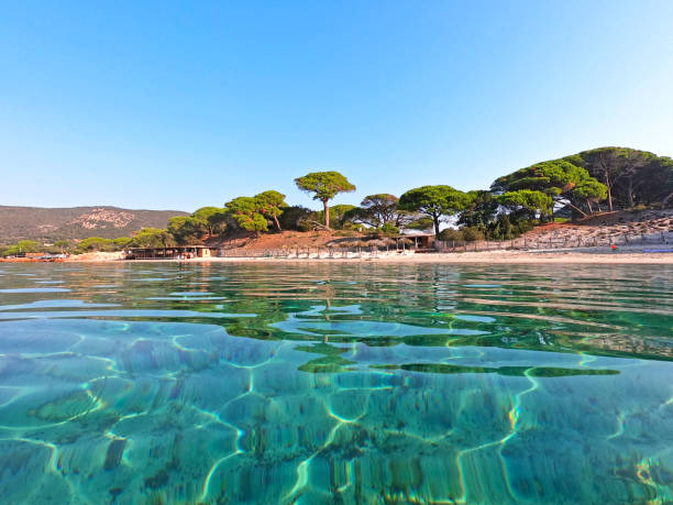 Sandy Palombaggia beach with crystal clear sea, Corsica, France Palombaggia beach, Corsica, France south photos stock pictures, royalty-free photos & images