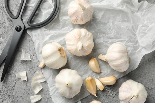 istock Garlic bulbs, slices, scissors, rosemary on grey background, closeup. Top view 1202293915