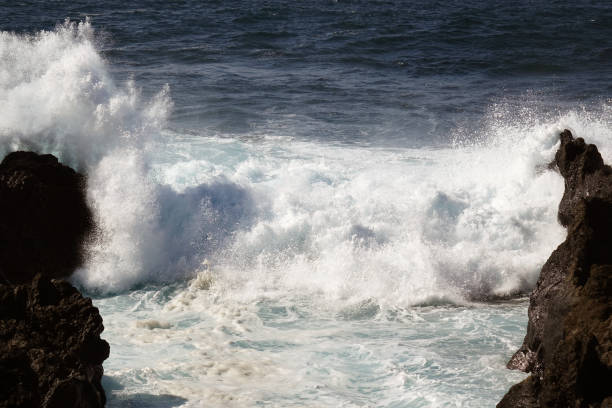 istock Big waves splashing on the coast 1202295127