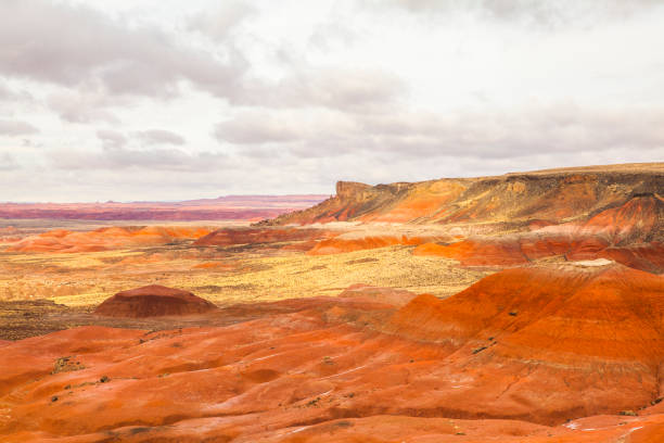 istock Petrified Forest National Park, Arizona, USA 1202296322