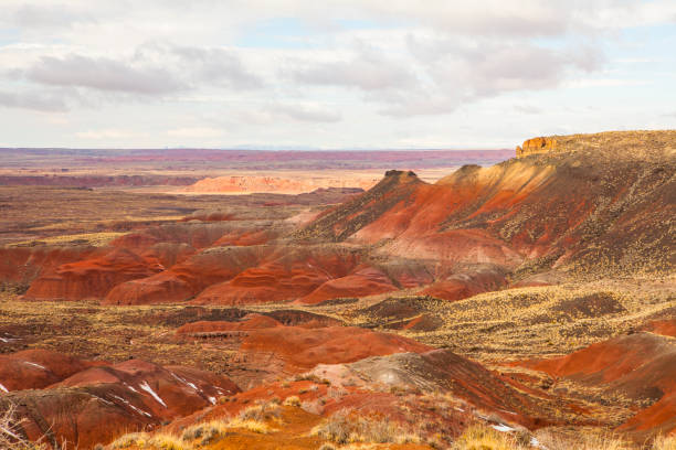 istock Petrified Forest National Park, Arizona, USA 1202296324