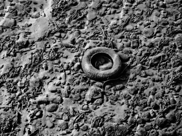 Car tire in riverbed.