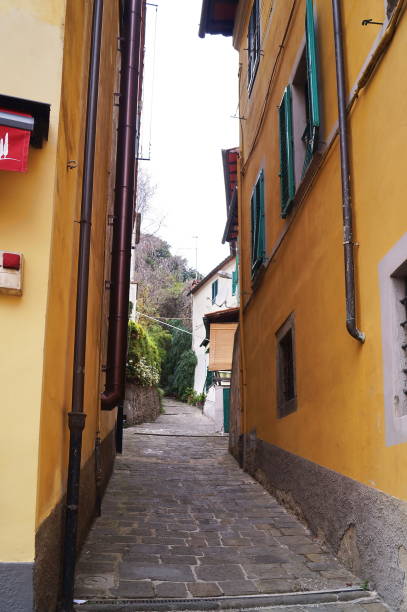 istock Typical street in Pescia 1202298714