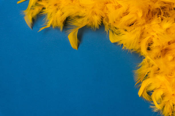 gelbe feder boa, karnevalskostüm, auf blauem hintergrund. kopieren sie den speicherplatz. - feather boa feather isolated red stock-fotos und bilder