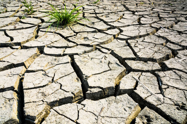 istock Land with dry, cracked ground and grass. 1202301362