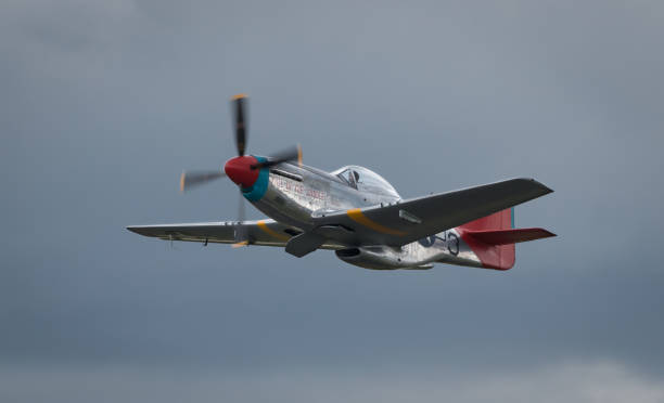 A World War II P-51 Mustang in flight HAMPSHIRE, UK - JULY, 2016: A World War II P-51 Mustang in flight. July 16, 2016 Hampshire, England p51 mustang stock pictures, royalty-free photos & images