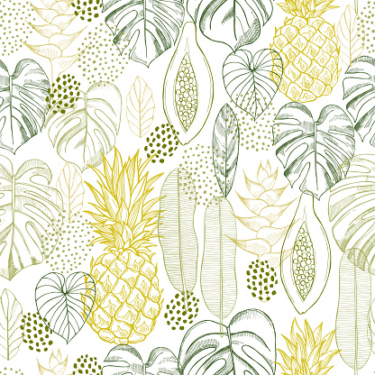 Vector  seamless pattern  with  hand drawn tropical plants. Monstera plant and tropical fruits .