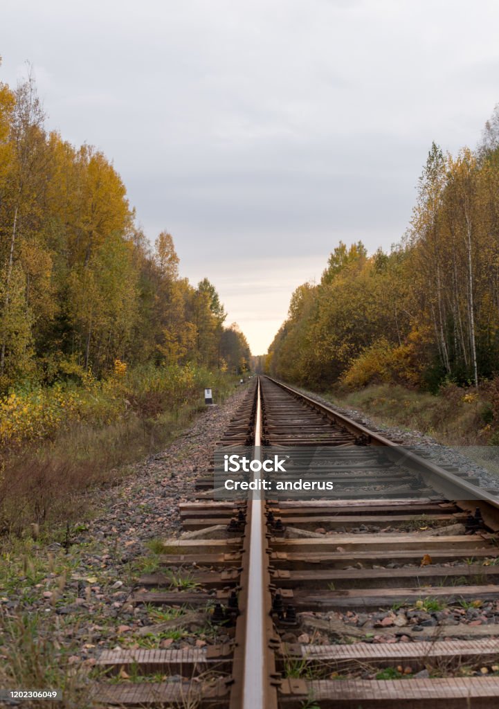 Rautatie menossa horisonttiin - Rojaltivapaa avainsanalla Auringonlasku ja tyyppiä Kuvapankin valokuva Rautatie menossa horisonttiin - Rojaltivapaa avainsanalla Auringonlasku ja tyyppiä Kuvapankin valokuva