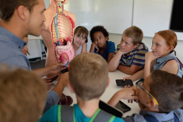 istock Male teacher using an human anatomy model to teach 1202306267