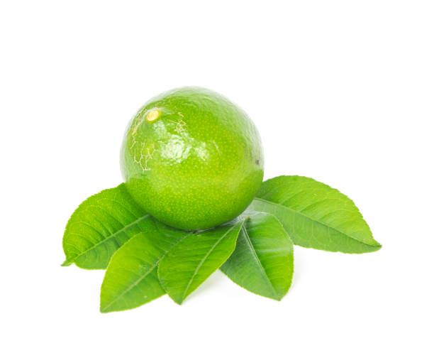 istock Studio shot single Asian green lime with leaves isolated on white 1202306351