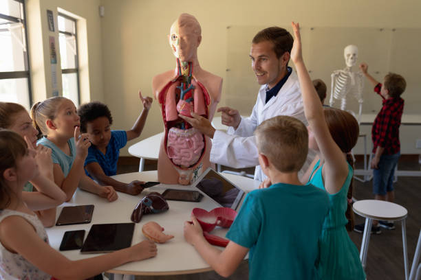 istock Male teacher wearing a lab coat using anatomy model 1202306353