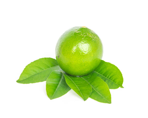 istock Studio shot single Asian green lime with leaves isolated on white 1202306399