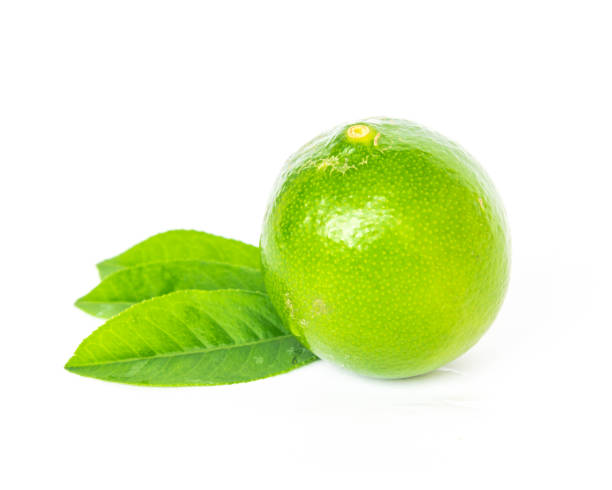 istock Studio shot single Asian green lime with leaves isolated on white 1202306403