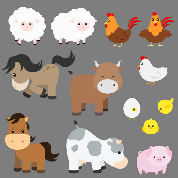 süße bauernhof tier vektor set auf grau - livestock isolated young animal chicken stock-grafiken, -clipart, -cartoons und -symbole