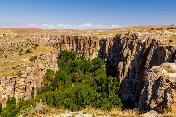 Panoramic view on Ihlara Valley in Cappadocia. Ihlara Valley in Cappadocia. Ihlara Valley Peristrema Monastery or Ihlara Gorge is the most famous valley in Turkey for hiking excursions. tufa photos stock pictures, royalty-free photos & images
