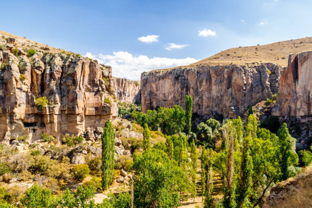 Panoramic view on Ihlara Valley in Cappadocia. Ihlara Valley in Cappadocia. Ihlara Valley Peristrema Monastery or Ihlara Gorge is the most famous valley in Turkey for hiking excursions. tufa photos stock pictures, royalty-free photos & images