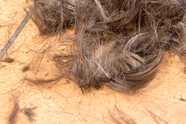 istock Cut Hair on the floor. 1202308806