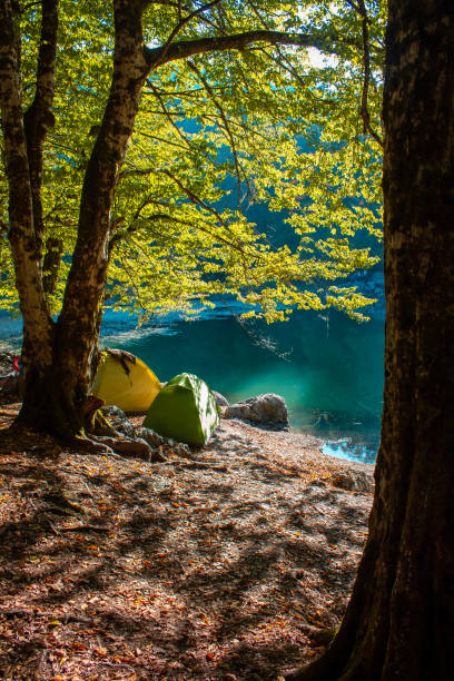 View of camping area in forest with tents, autumn season in Yedigoller Nature Park stock photo