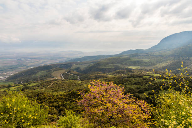 istock Thermopylae in Greece 1202312510