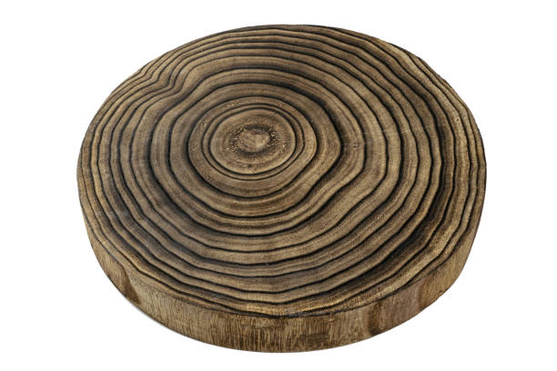istock Tree lumber. Wooden oak tree cut surface on white background. Stump ring texture 1202312688