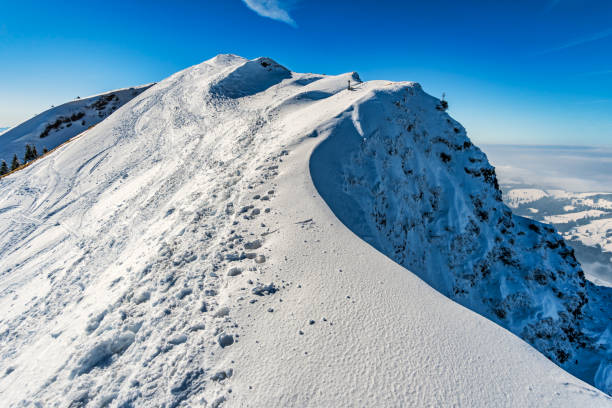 istock Snowshoe tour on the Hochgrat 1202313441