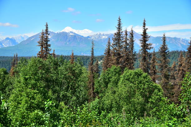 istock South View of Denali 1202313633