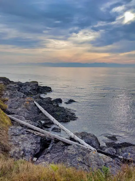 Photo of Rocky coastal shoreline of Friday Harbor in San Juan Island, WA