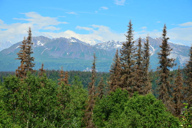 istock South View of Denali 1202314244