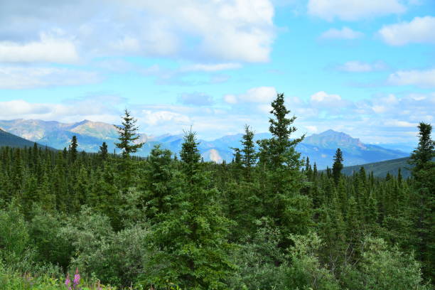 istock Mountains East of Denali 1202315851