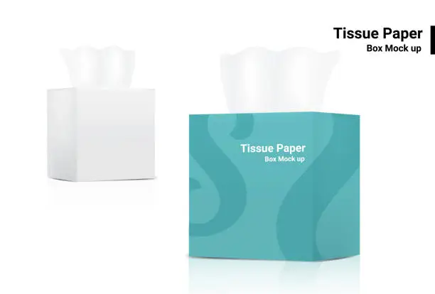 Vector illustration of White Tissue Box Mock up Realistic product  packaging on white background vector illustration