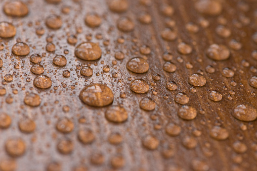 Raindrops on a varnished wooden surface.