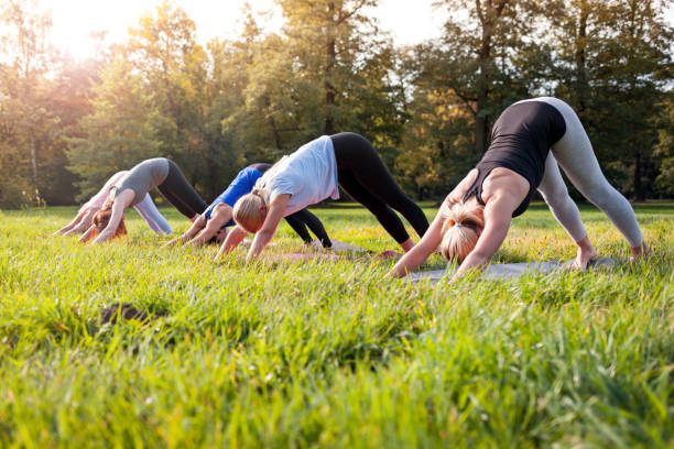 istock Mixed age group of people practicing yoga outside in the park 1202317374