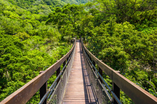 Suspension bridge with mountain background and clear sky