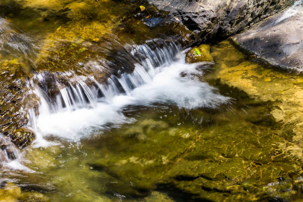 agua de arroyo o arroyo que fluye más allá de rocas y piedras - deep creek area fotografías e imágenes de stock