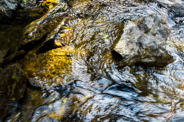 agua de arroyo o arroyo que fluye más allá de rocas y piedras - deep creek area fotografías e imágenes de stock