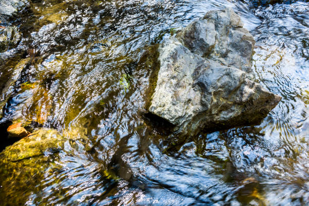 agua de arroyo o arroyo que fluye más allá de rocas y piedras - deep creek area fotografías e imágenes de stock