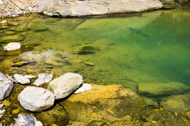 istock The stone under the pond, close-up as background. 1202320759