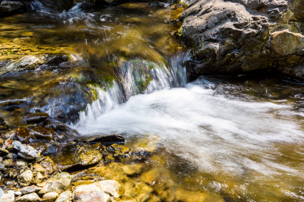 agua de arroyo o arroyo que fluye más allá de rocas y piedras - deep creek area fotografías e imágenes de stock