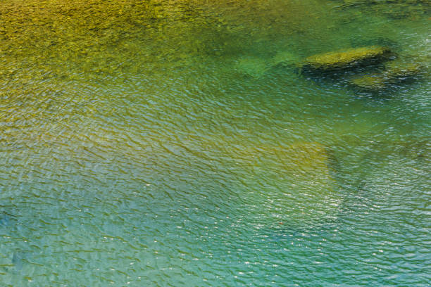 The stone under the pond, close-up as background.