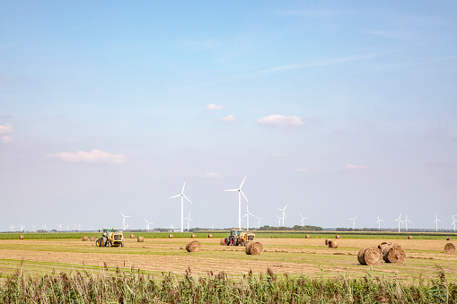 Bales of hay, harvesting, wind turbines in a flat landscape with trees at the horizon and blue skies, Almere, Netherlands.