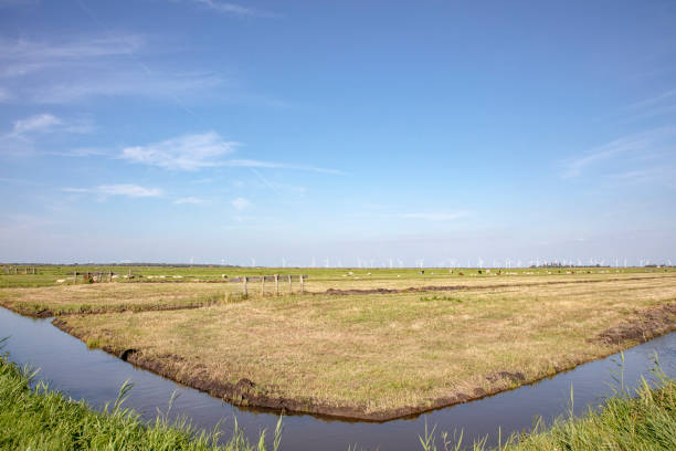 landscape of holland, turbines, sheep, flat land and water and on the horizon a blue sky with white clouds. - polder windmill space landscape imagens e fotografias de stock