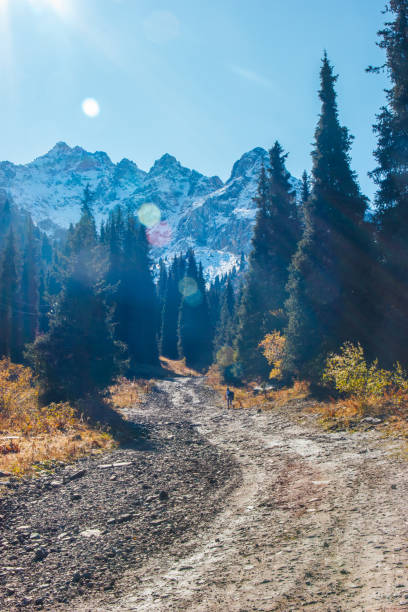 strada sterrata e sentiero escursionistico nella montagna di tian shan, in kazakistan, nella campagna di almaty, nella gola di tuyuk su. - hiking mountain dirt scenics foto e immagini stock
