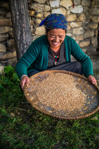 istock Tibetan woman separates grain from husks, Upper Mustang 1202329266