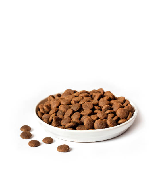 istock Dry pet food in a white ceramic bowl isolated on white background 1202330484