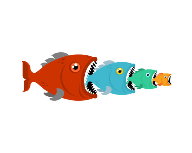 Big Fish eats small fish. Predatory fish with open mouth vector art illustration