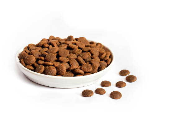 istock Dry pet food in a white ceramic bowl isolated on white background 1202330816