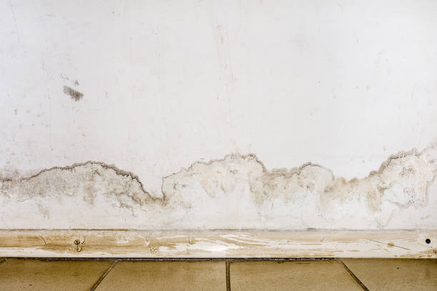 Flooding rainwater or floor heating systems, causing damage, peeling paint and mildew. Flooding rainwater or floor heating systems, causing damage, peeling paint and mildew. - image mildew stock pictures, royalty-free photos & images