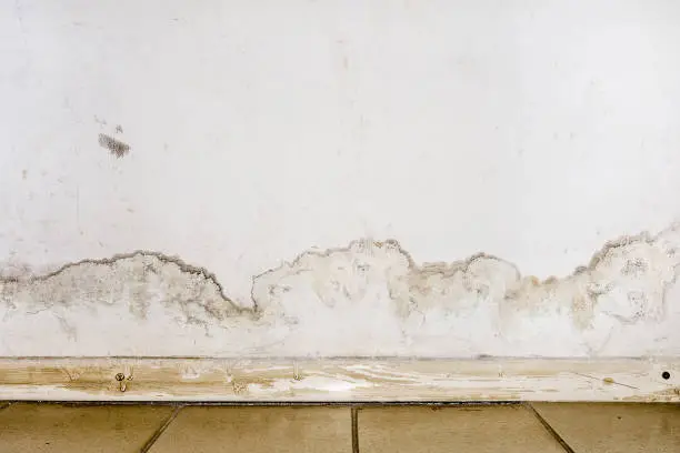 Flooding rainwater or floor heating systems, causing damage, peeling paint and mildew. - image