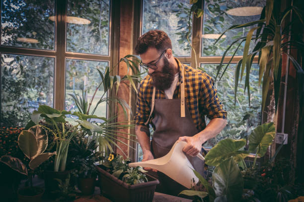 istock Taking care of your plants 1202331985