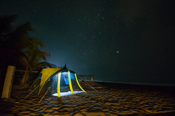 istock Campsite on the sand, pascuales beach, colima. 1202332167